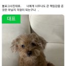 전통시장(옷전) | 속초 여행코스 추천｜전통시장 중심 2박3일 먹방 후기