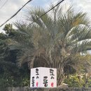 오동동189 이미지