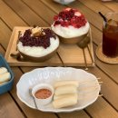 이집이 좋겠네 이미지