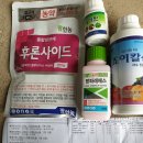 오후5시;사과밭 이미지