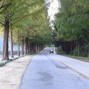 부귀면 소재지길 이미지