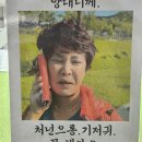 워시앤폴드 | 봉곡동 애견동반카폐