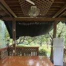 스타민박 | 경남 산청 대포숲 근처 수영장민박 스타민박 산청 삼장교 물놀이 솔직후기