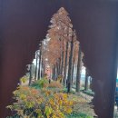 김경일 외 1인 / 15코스 (노을, 하늘공원) / 2015.11.26(수) 이미지