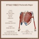 모던필라테스금천