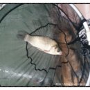 배내미낚시터 이미지