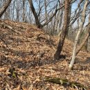 천안 대정리산성(天安 大井里山城)