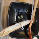 대게마트 | 광안리맛집 수율 좋은 대게를 찾는다면 원조기장대게할인마트 내돈내산 후기