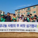 탄벌동-11 이미지