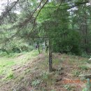 철선농장 이미지