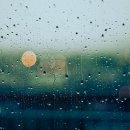 밤낮술 Daum카페