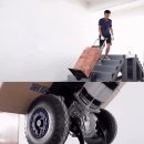 4250 | 블랙드래곤 전동카트 ZW4250 후기｜170kg 자동 계단 리프트, 배달·이사 필수템