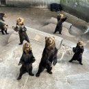 산 목장 | 도야 호수] 도야 호수 &amp; 노보리베츠 지옥 계곡 &amp; 곰 목장 또는 우스 산 당일 여행 클룩 후기 할인정보 예약