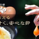 고란농장 이미지