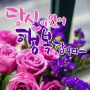 내덕시티부동산중개사무소 이미지