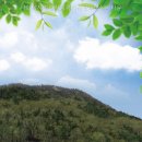 사회복지법인상록수재단(상록수실버타운) | 사회복지법인자혜복지재단노량실버타운 직접 확인해본 상담 흐름