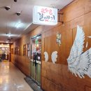 248갈매기