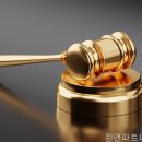 윈앤파트너스법률사무소 - 6294 | 윈앤파트너스법률사무소