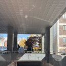 SM스크린골프 | 영등포 스크린골프장 추천 I SM골프아카데미&amp;골프존 후기