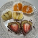 고구려횟집 | 26년 2월 일상(1)