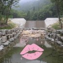 점용축사 이미지