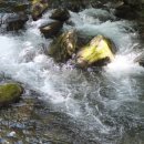 방화동자연휴양림 이미지