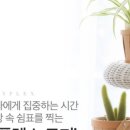 뷰티플렉스피부관리실