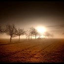 사랑의 노래 이미지