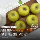센스있는 명절선물 추천 시나노골드 사과 산지직송 택배 후기