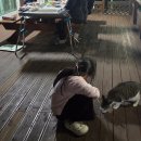 욕지도 하늘정원 이미지