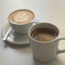 카모플라쥬 커피(camouflage coffee)