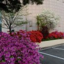 달성문화원 이미지