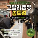 고릴라캠핑 - 서구 봉수대로 477 | 캠핑 초보도 눈 돌아가는 곳, 고릴라캠핑 송도점 리얼 방문 후기