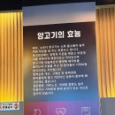 일번가 | 안양일번가 맛집 일번가양꼬치 방문 솔직 후기