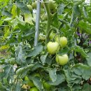 태수농장 이미지