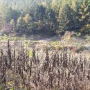 행자농장 이미지