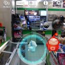 캐치캐치 이미지