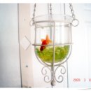 업동이네 이미지