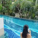 코끼리 게임장 이미지