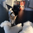 놀러오개 서대문점 이미지