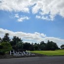 해비치 | 제주 해비치 컨츄리 클럽 제주 라운딩 후기