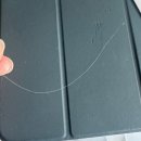 24시배곧스마트동물의료센터 이미지