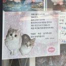 세븐일레븐 대전가장점 | 번째 대전 원정 | 한화이글스파크 직관 후기 | 대전 갈만한 곳 | 중앙로 카페 | 대전 맛집 | 대전 빵...