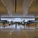 856 | [KLM] 인천-암스테르담 (KE5925/KL856, 2024-11-14)