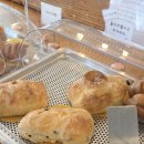 모카카페 - 광진구 능동로 269 | [보령] 베이커리랑 커피가 맛있는 대천해수욕장 오션뷰 카페모카브레드 방문 후기