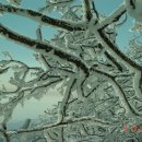 양지고속주유소 이미지