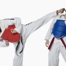 무도태권도 이미지