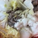 대국컴퓨터 | 🐾 나의 일상이란 강아지와 먹는 이야기뿐