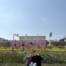 에버허브지점 | 에버랜드 튤립 축제 첫날 후기 - 평일 워킹사파리, 튤립축제, 쌈바퍼레이드