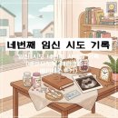 참소망약국 | 임신 준비 후기 | 네 번째 자연임신 시도 기록 - 페마라 배란유도제·배란테스트기·배란초음파